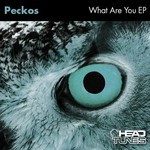 cover: Peckos - What Are You EP