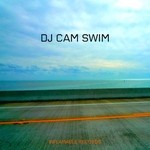 cover: Chris James|DJ CAM - Swim