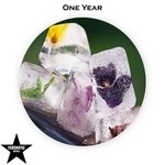 cover: Various - One Year