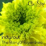 cover: Indysoul - The Story Of Esperanza