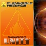 cover: Flammable Djs - Unity