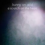 cover: Bunny On Acid - A Scratch On The Heart