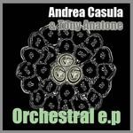 cover: Andrea Casula & Tony Anatone - Orchestral EP