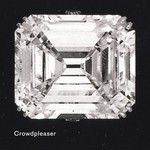 cover: Crowdpleaser - Crowdpleaser