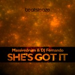 cover: Massivedrum & Dj Fernando - She's Got It