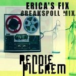 cover: Rennie Pilgrem - Erica's Fix