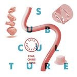 cover: Stop Modernists|Chris Lowe - Subculture