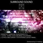 cover: Lethal|Able Danger - Surround Sound (remixes Part 2)