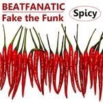 cover: Beatfanatic - Fake The Funk