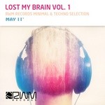 cover: Various - Lost My Brain Vol 1