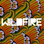 cover: Little Dragon|SBTRKT - Wildfire