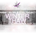 cover: Rabbit Killer|Cool Project - Winter Thaw