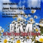 cover: Rejoice, James|Carrie Mandalay - Spring Flowering