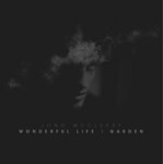 cover: Jono Mccleery - Wonderful Life