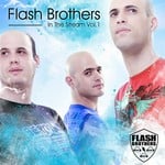 cover: Flash Brothers|Various - Flash Brothers In The Stream Vol 1 (unmixed tracks)