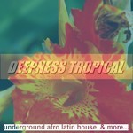 cover: Various - Deepness Tropical: Underground Afro Latin House & More