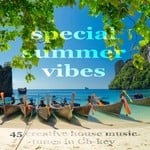 cover: Various - Special Summer Vibes (45 Creative House Music Tunes In Gb-Key)