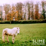 cover: Slime - Increases