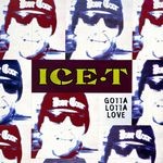 cover: Ice T - Gotta Lotta Love (Explicit)