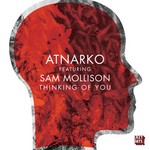 cover: Atnarko|Sam Mollison - Thinking Of You EP