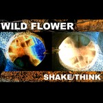 cover: Wildflower - Shake