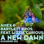 cover: Amex & Bartlett Bros|Lizzie Curious - A New Dawn