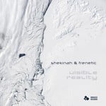 cover: Shekinah & Frenetic - Visible Reality