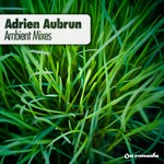 cover: Aubrun, Adrien|Binary Finary|Dj Eco|Insigma - Ambient Mixes