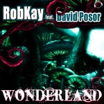 cover: Robkay|David Posor - Wonderland (dance edition)