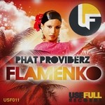 cover: Phat Providerz - Flamenko