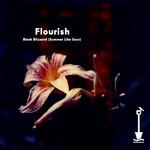 cover: Flourish - Black Blizzard (Summer Like Sour)