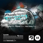 cover: Wally Lopez & Audio Junkies - Serenade