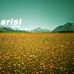 cover: Ariel - D'ese