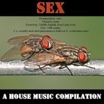 cover: Various - Sex: A House Music Compilation