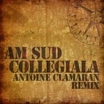 cover: Am Sud - Collegiala