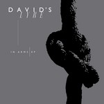 cover: David's Lyre - In Arms (Remix)