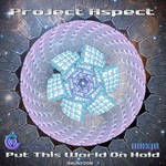 cover: Project Aspect - Put This World On Hold LP