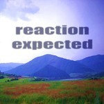 cover: Cristian Paduraru - Reaction Expected