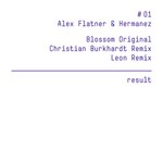 cover: Flatner, Alex|Hermanez - Blossom