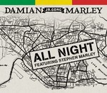 cover: Damian Marley - All Night