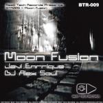 cover: Various - Moon Fusion