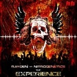 cover: Rayden|Nitrogenetics - The Experience - EP