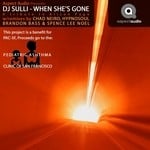 cover: Dj Sulli - When She's Gone