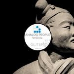 cover: Analog People - Terracota