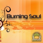 cover: Various - Burning Soul Vol 1