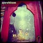 cover: Aerobium - Saturated