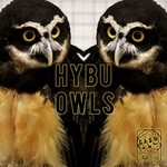 cover: Hybu - Owls EP