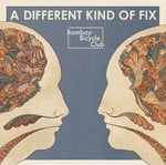 cover: Bombay Bicycle Club - A Different Kind Of Fix