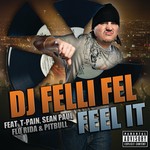 cover: Pitbull|Flo Rida|Sean Paul|T Pain|Dj Felli Fel - Feel It