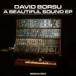 cover: David Borsu - A Beautiful Sound EP